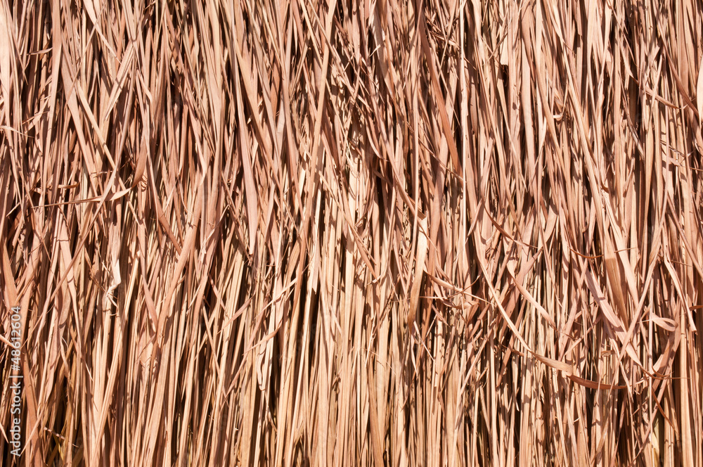 hay or dry grass background hay or dry grass background