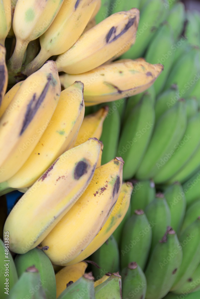yellow bananas and green bananas yellow bananas and green bananas