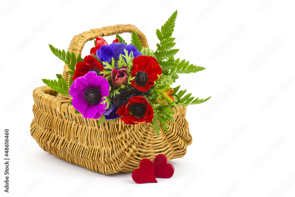Bouquet Anemones in a basket and hearts on white background Bouquet Anemones in a basket and hearts on white background