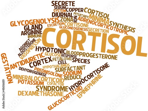Word cloud for Cortisol photo