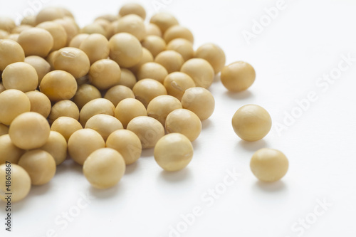 soybean