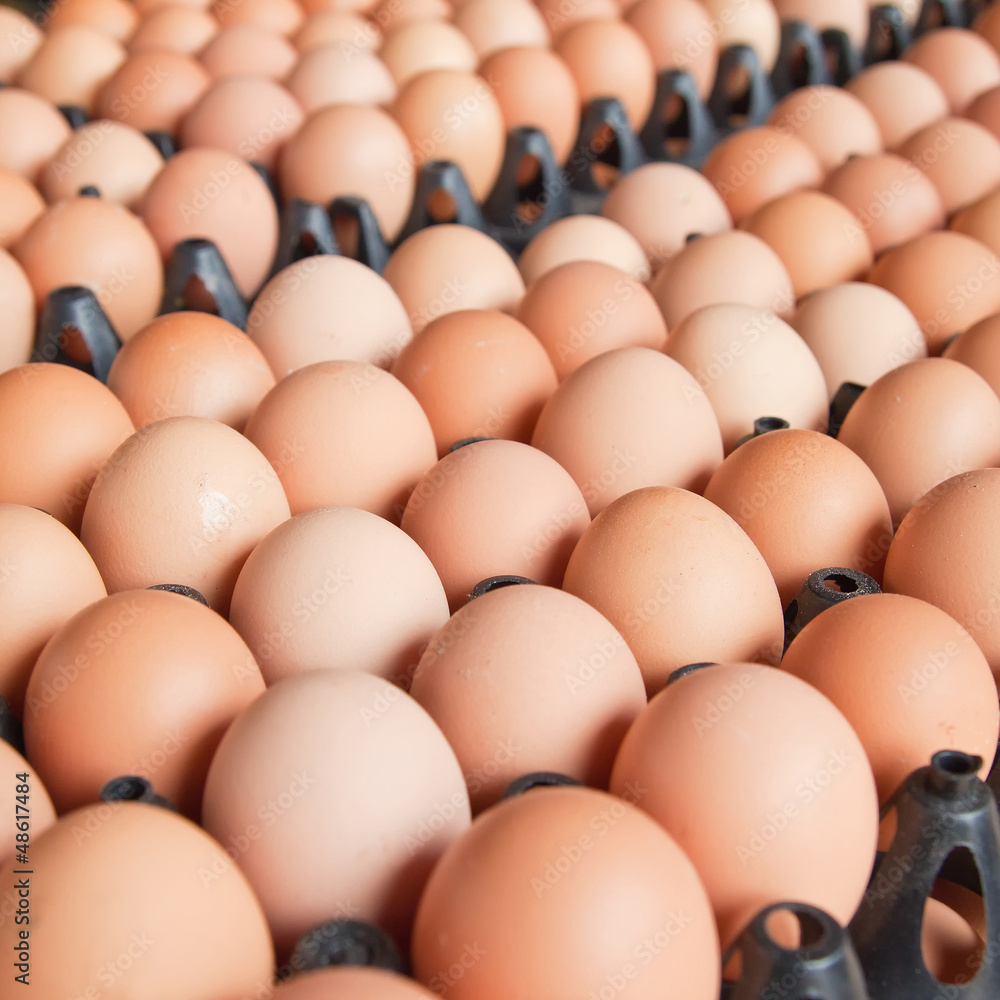 Many brown eggs in boxes.