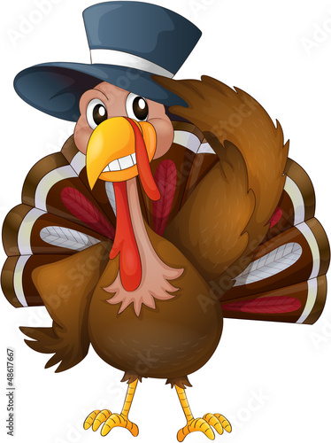 A turkey with a hat