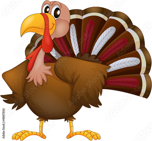 An angry turkey