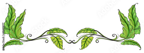 A leafy border