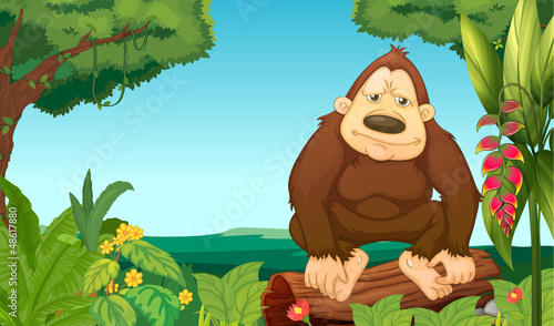 A gorilla in the woods