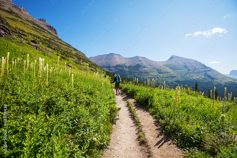 Fototapeta premium Hike in Glacier