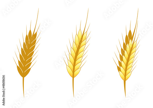 Stylized ear of wheat