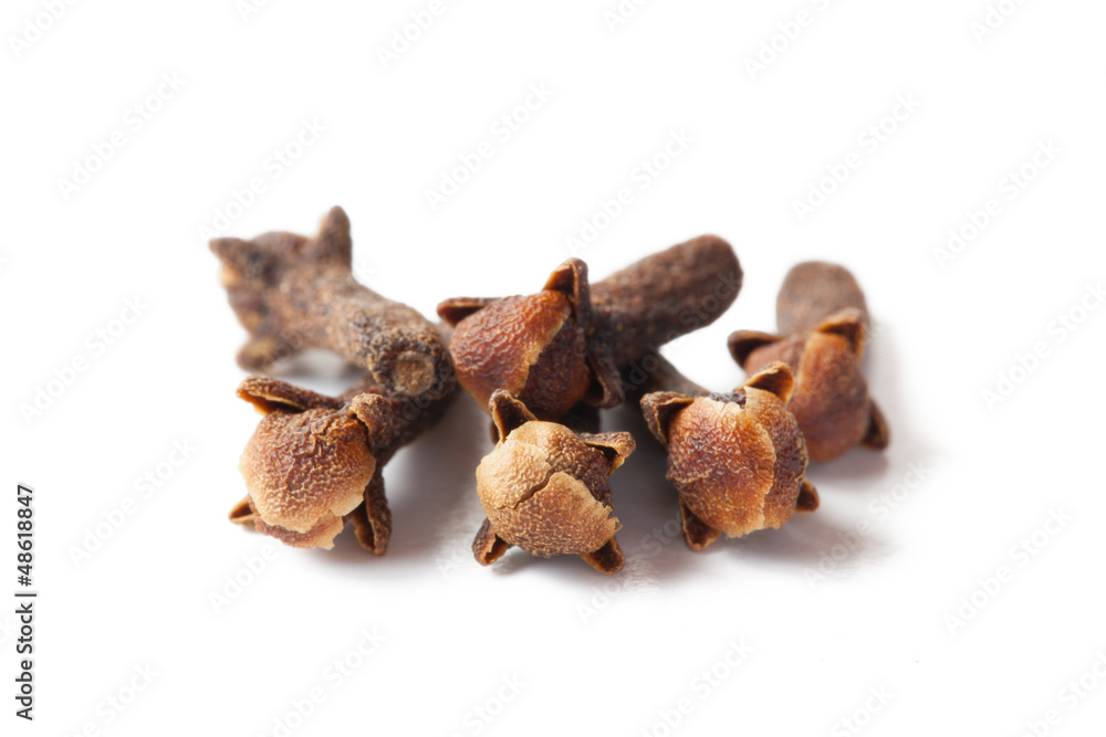 Obraz premium Cloves isolated on white background