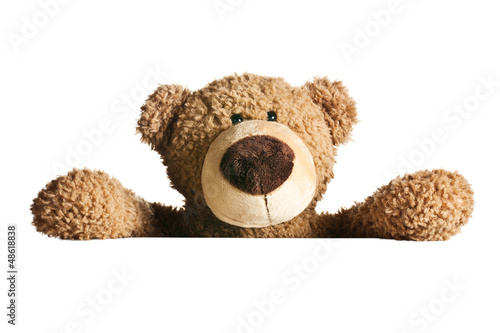 Fototapeta teddy bear behind a white board