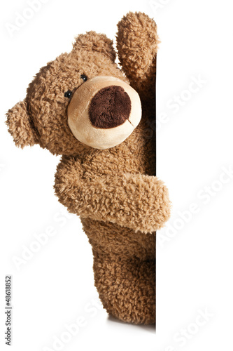 Fototapeta teddy bear behind a white board