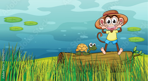 A smiling monkey and a tortoise