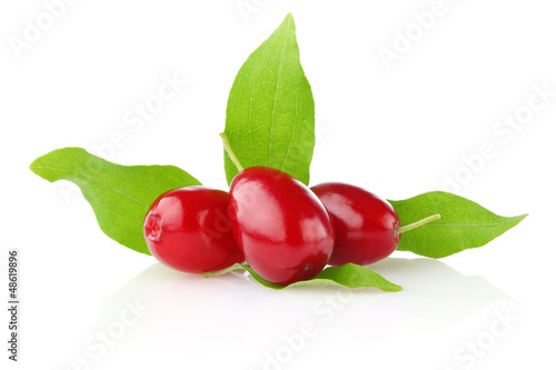 ripe juicy cornel with green leaf