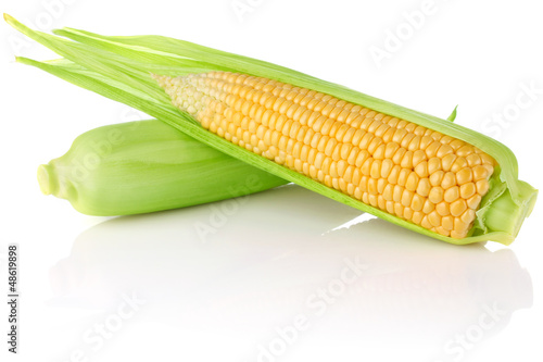 ripe corn