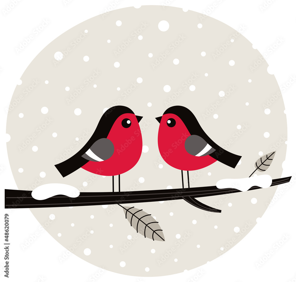 Fotografie Winter birds sitting on the branch