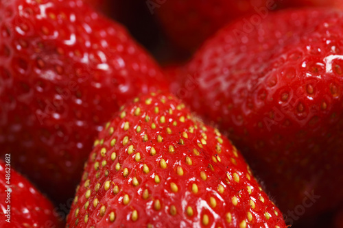 Wallpaper Mural Strawberries Close Up Torontodigital.ca