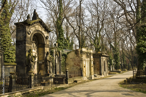 Canvas Print Prague - Cemetery