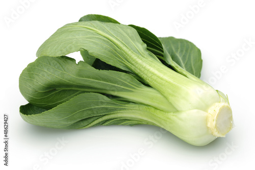 Pak Choi, Chinese cabbage