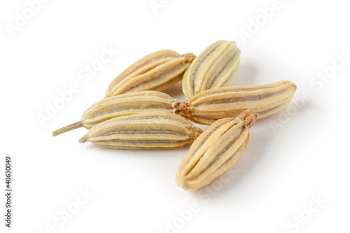 Fennel seeds isolated on white background II