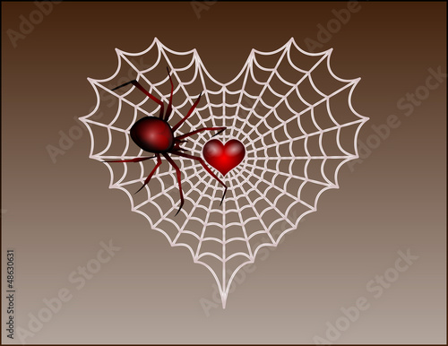 vector of a Valentine's Day heart shaped spider web
