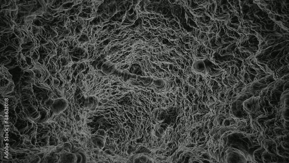 Electron Microscope flythrough view inside alien tissue. Electron Microscope flythrough view inside alien tissue.