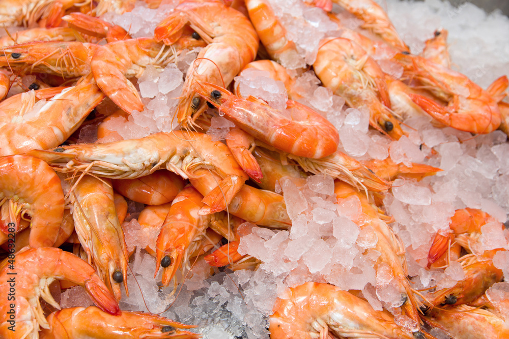 Shrimp in ice Shrimp in ice