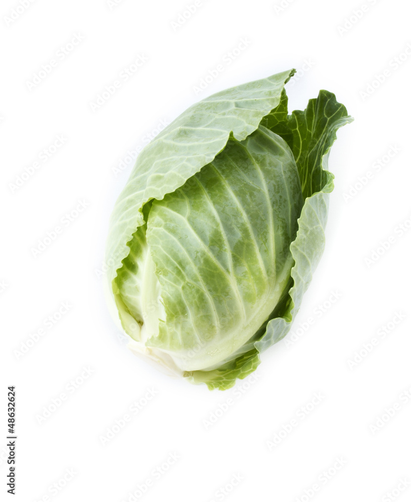 Head of cabbage. Head of cabbage.