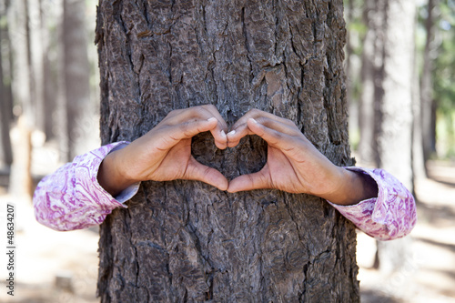 hands making an heart shape on a trunk of a tree.