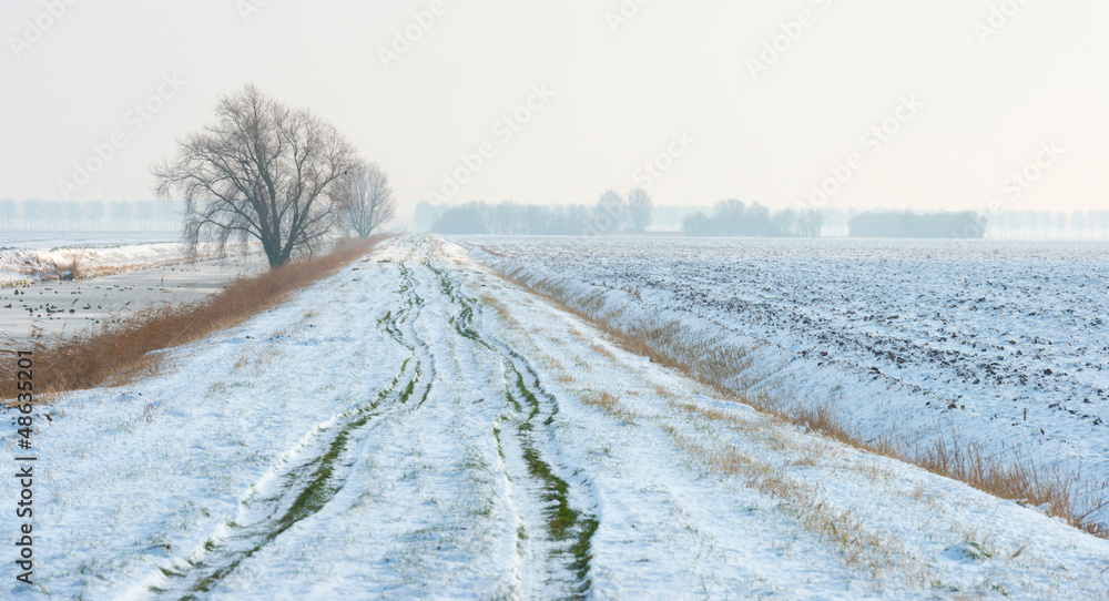 Obraz premium Frozen walking path in winter