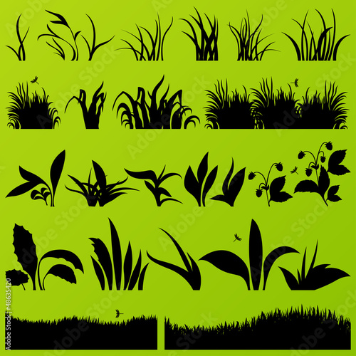 Grass and plants detailed silhouettes illustration collection ba