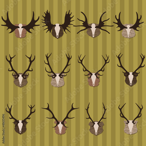Deer and moose horns hunting trophy and coat of arms shields bac