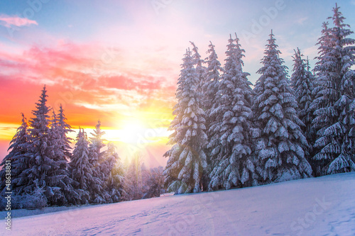 Winter landscape on a sunset. Bulgaria