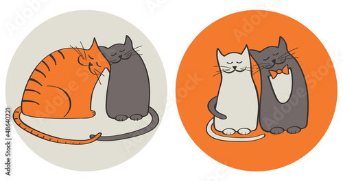 Cats in love