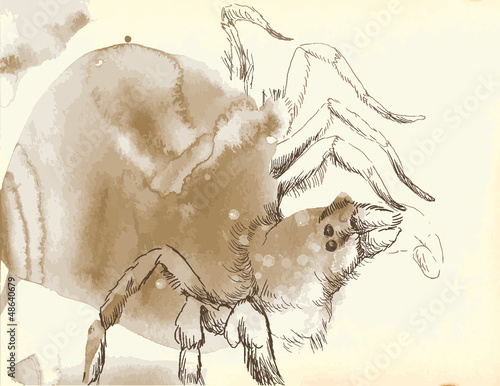 Spider - created from watercolor accidental stains.