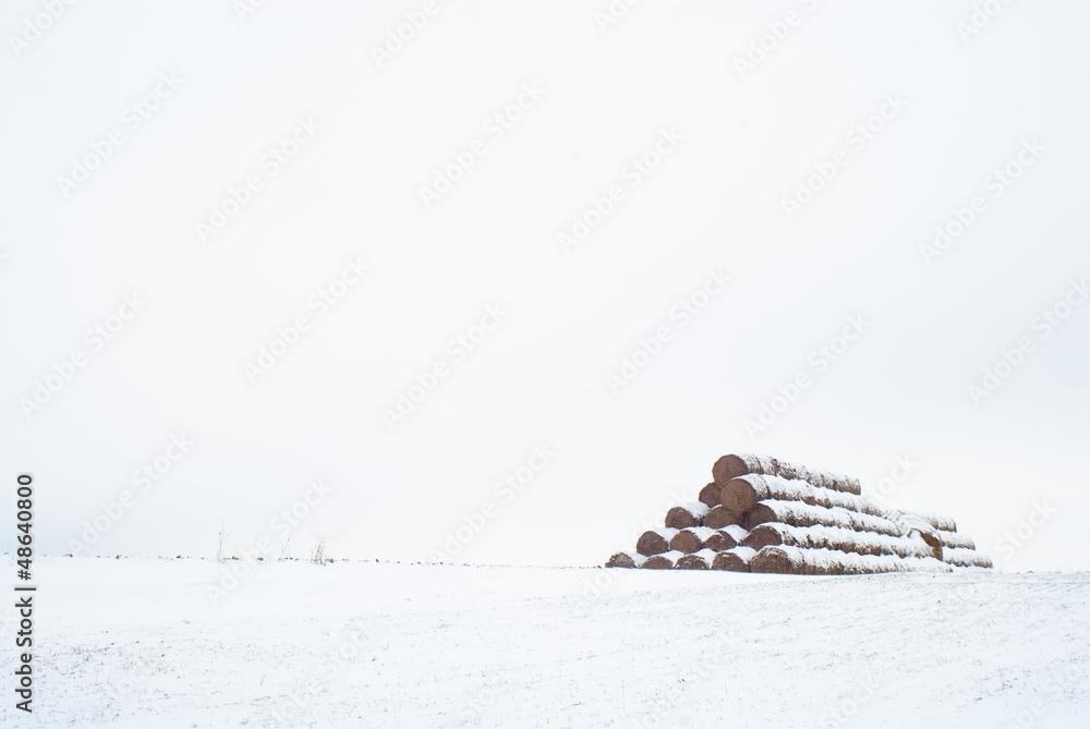Haystack