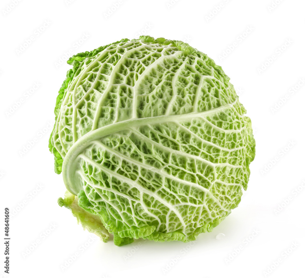 Fototapeta premium Savoy cabbage isolated on white background