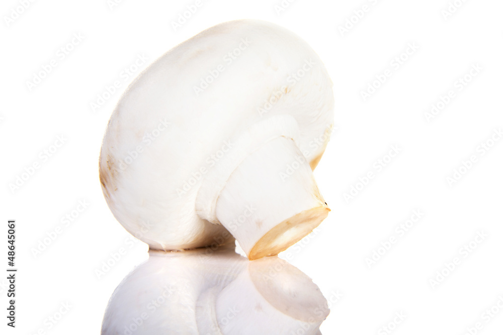 Edible button mushroom, .champignon Edible button mushroom, .champignon
