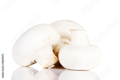 Edible button mushroom, .champignon