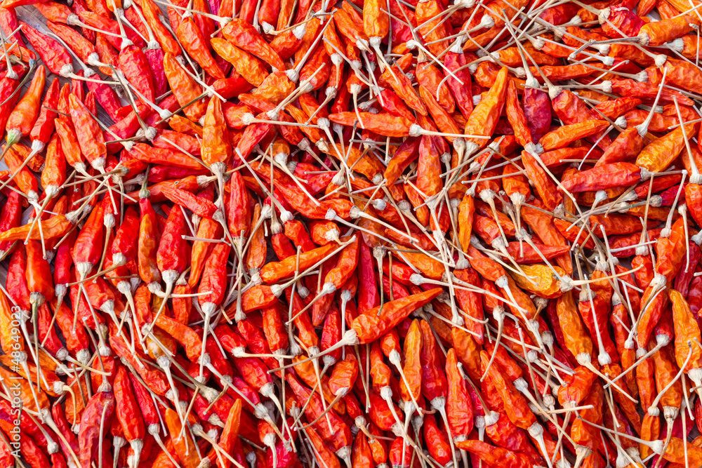 Fototapeta premium Dry red chili pepper can use as background