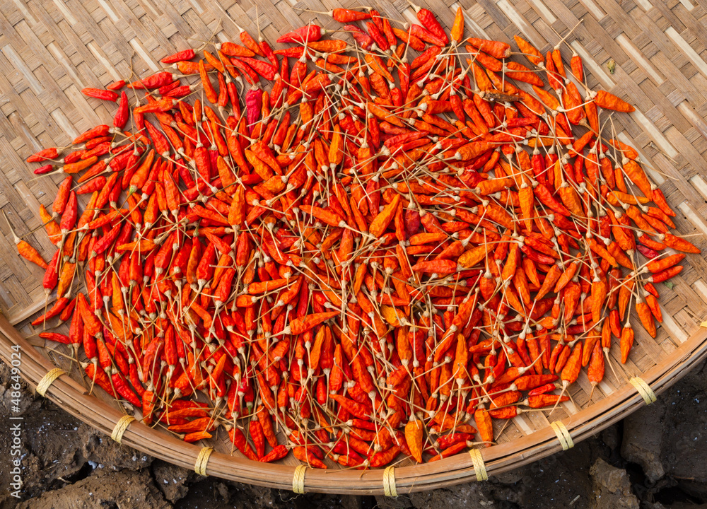 Dry red chili pepper can use as background Dry red chili pepper can use as background