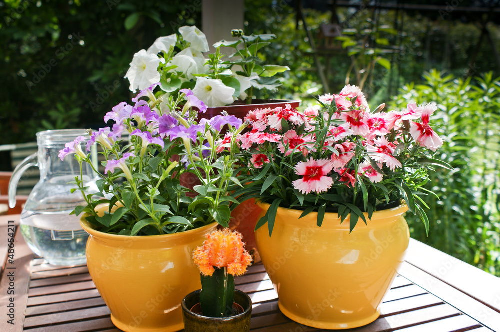 Spring flowers in pots on a garden table.