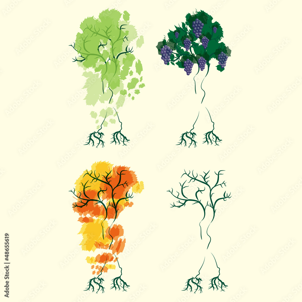 Naklejka premium woman tree