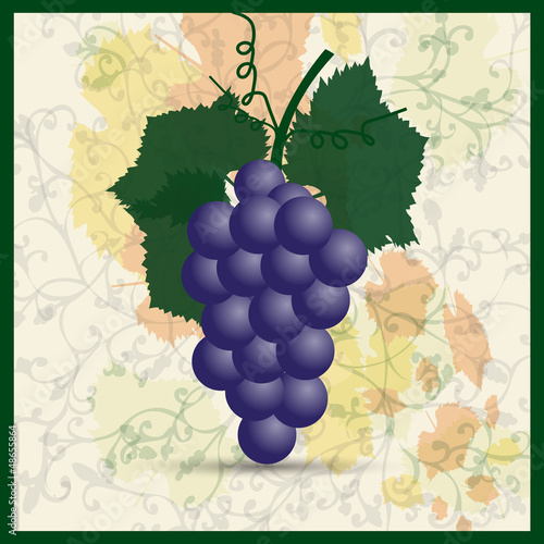 Black grapes