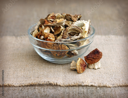 Dried mushrooms in glass bowl on wooden background