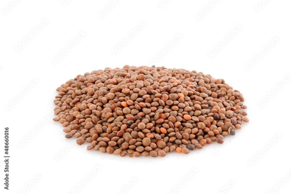 brown lentils brown lentils