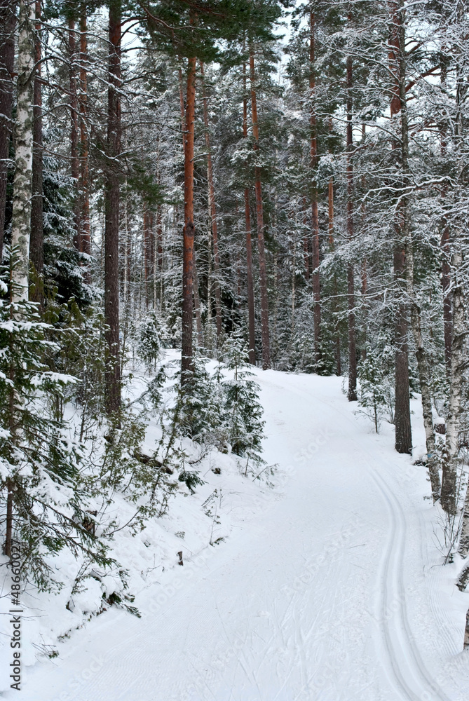 Ski trail. Ski trail.