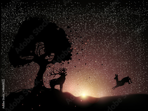 Dear and doe at sunrise / Animal Romance