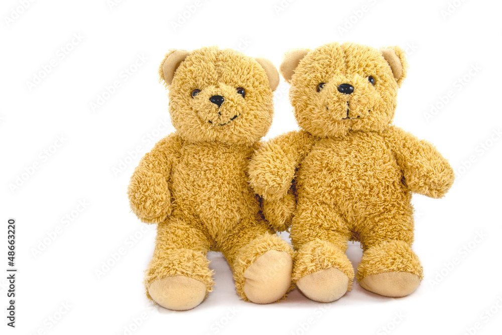 Obraz premium Lovely Bear dolls
