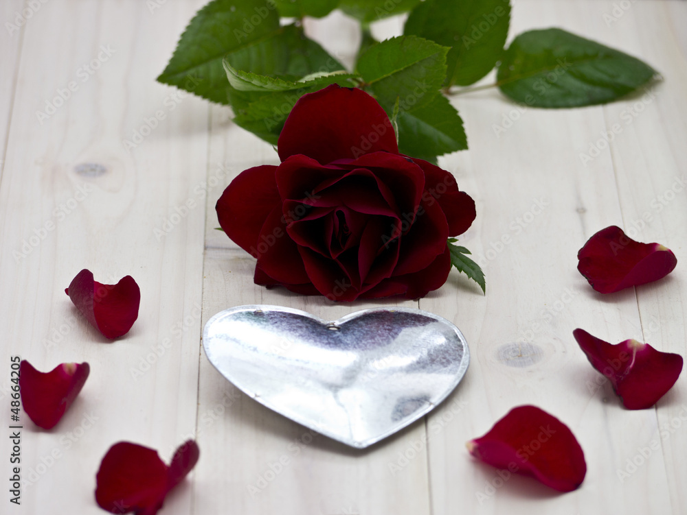Auf einem Holztablett liegende rote Rose mit Rosenblättern Auf einem Holztablett liegende rote Rose mit Rosenblättern