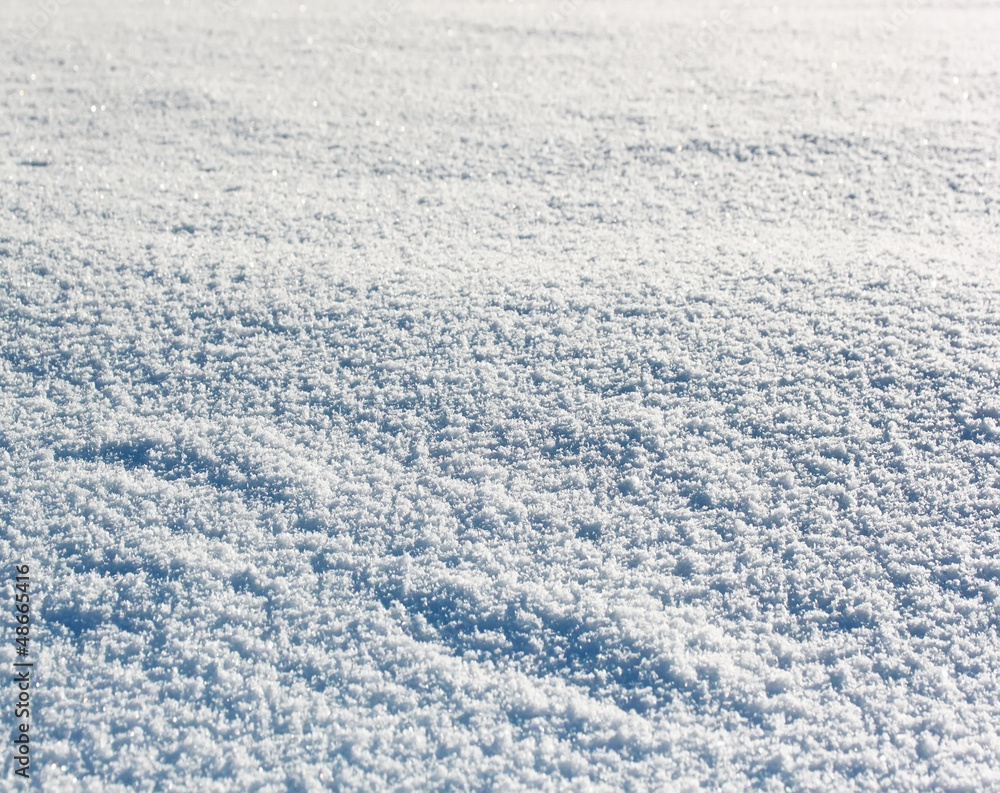 Fototapeta premium Snowy meadow